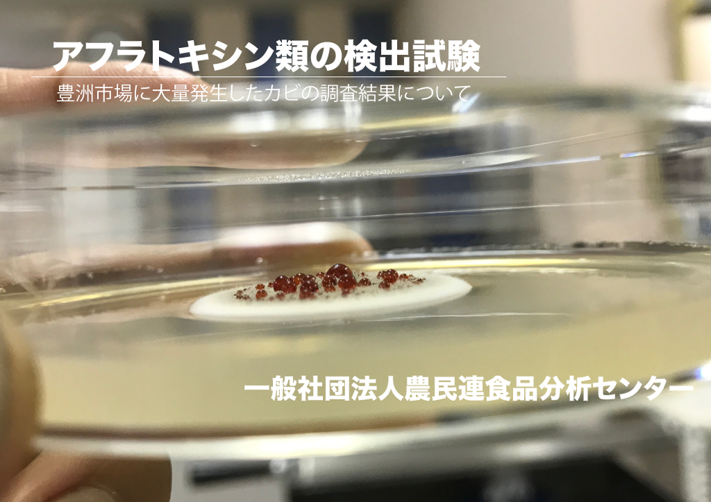 食品のカビ汚染と危害 （食品のカビ汚染と危害 (食品のカビ 1