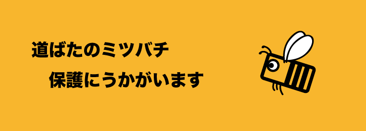 topimage